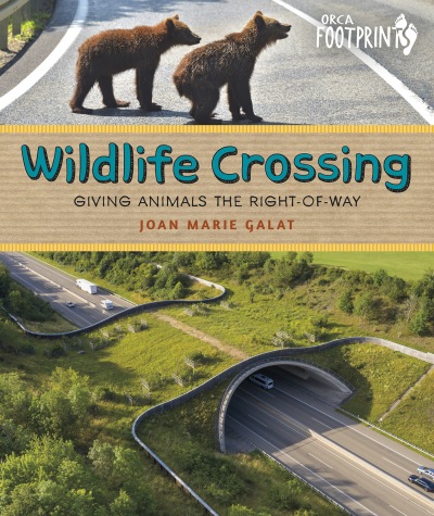 Wildlife Crossing