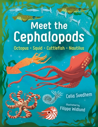 Meet the Cephalopods