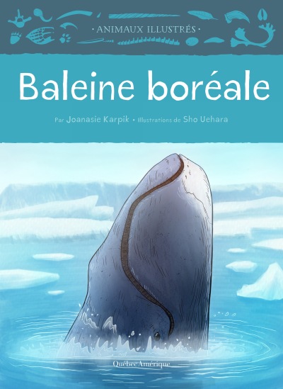 Baleine boréale