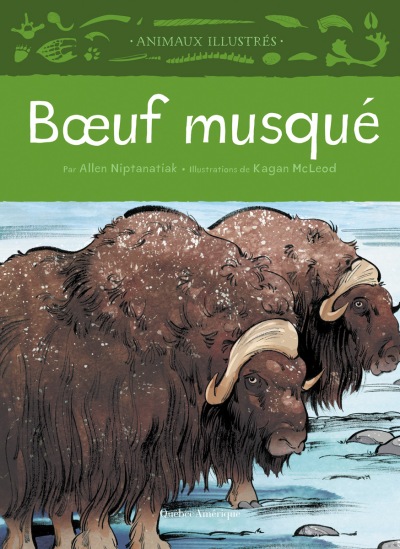 Bœuf musqué
