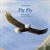 Fly Fly