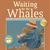 Waiting for the Whales