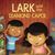 Lark and the Diamond Caper