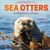 Sea Otters