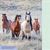 Wild Horses