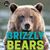 Grizzly Bears