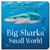 Big Sharks, Small World