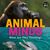 Animal Minds