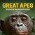 Great Apes