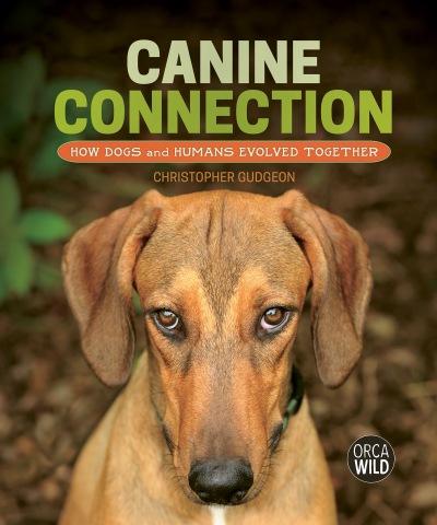 Canine Connection