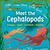 Meet the Cephalopods