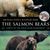 The Salmon Bears