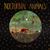 Nocturnal Animals