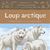 Loup arctique