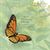 Le papillon monarque