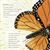Le papillon monarque
